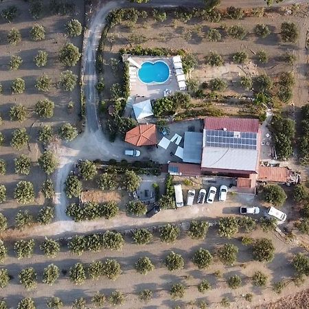 Terra Nostra Bed & Breakfast Cattolica Eraclea Exterior photo